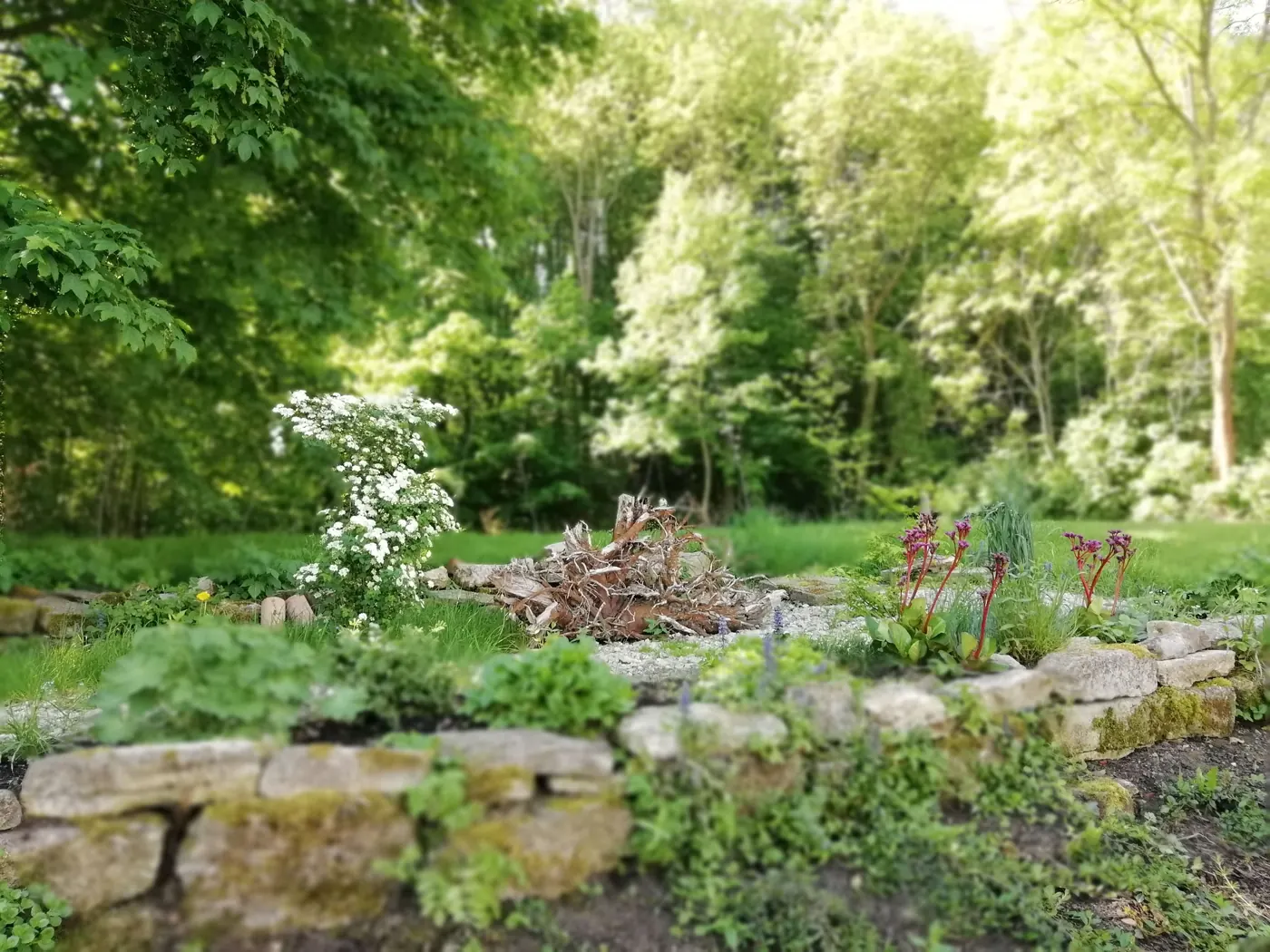 Garten am Haus mit Steinmauer und Blumen